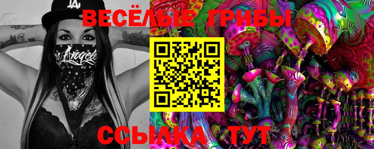 Галлюциногенные грибы ЛСД Кисловодск