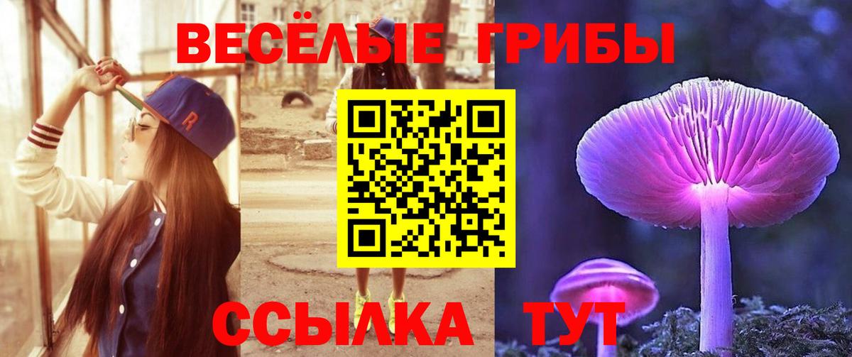 сколько стоит  Псилоцибиновые грибы ЛСД  Вход с VPN  Кисловодск  Галлюциногенные грибы Magic Shrooms 